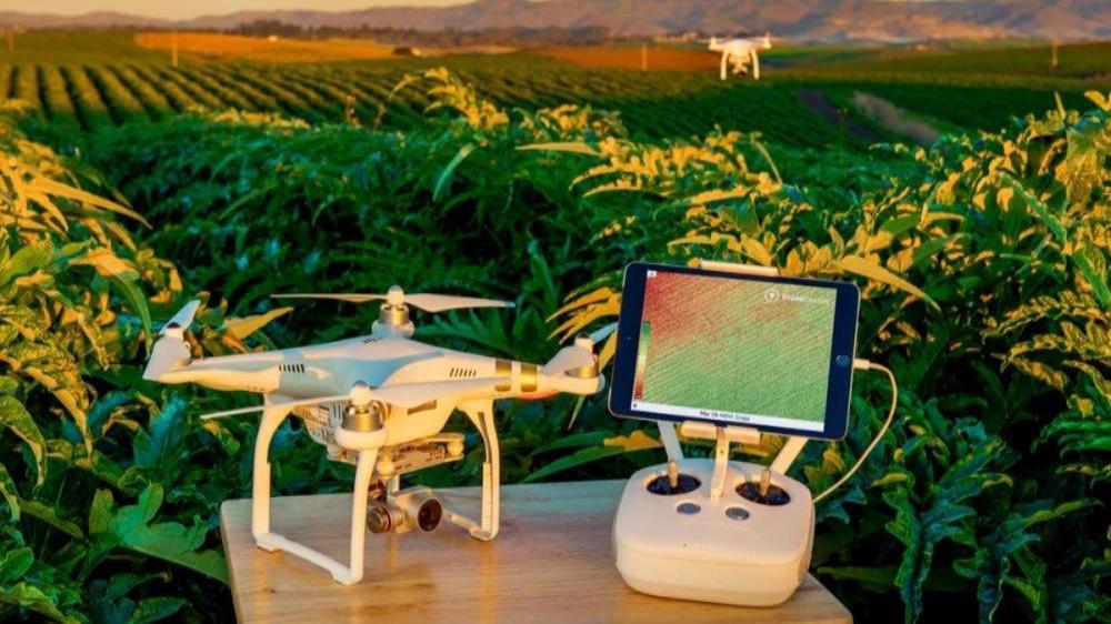 6 способов совершить аграрную революцию с помощью дронов