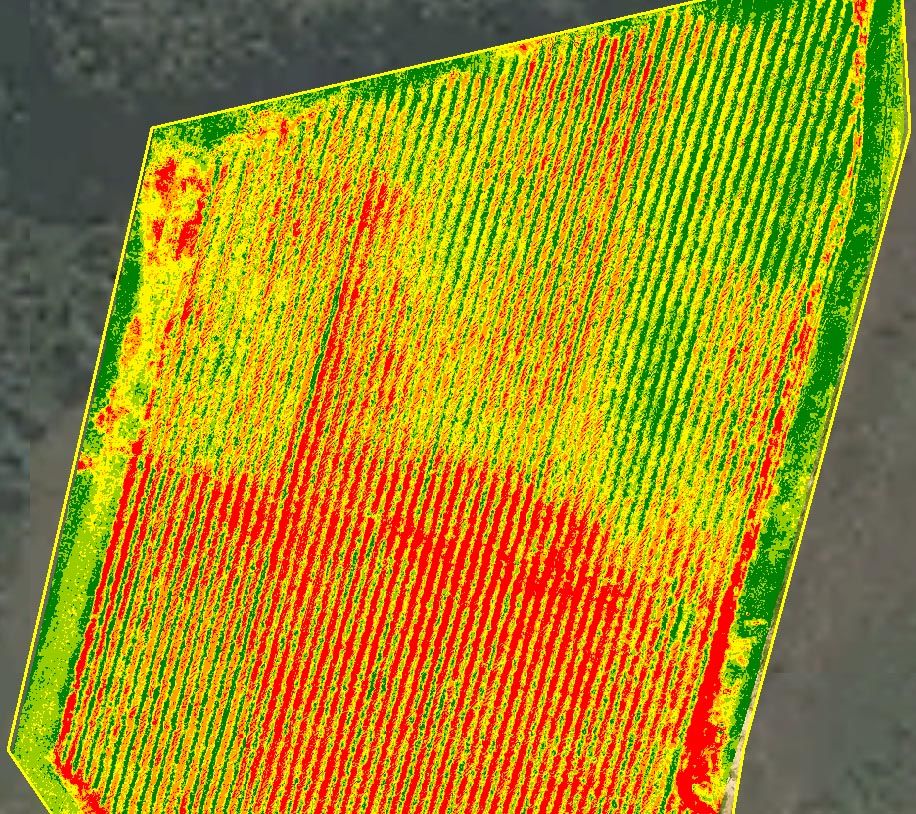 Вид поля с воздуха с использованием сенсора, который позволяет делать снимки в ближнем инфракрасном спектре.
