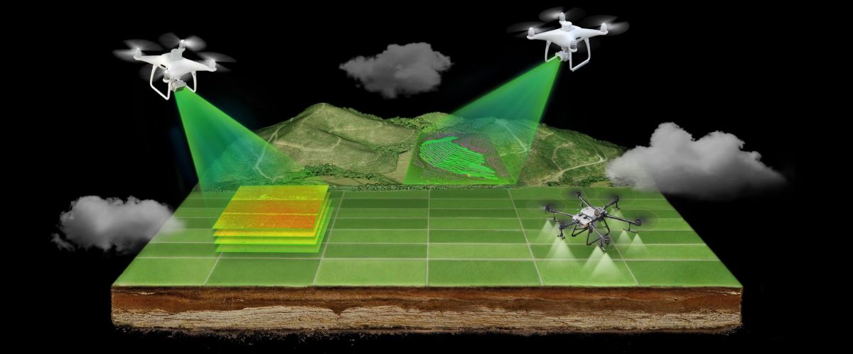 Облачные цифровые технологии для современного сельского хозяйства